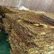 廣東南山貴金屬回收多少錢一噸,鉬棒