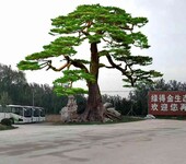定制水泥榕樹造景使用壽命,定制水泥榕樹造景使用壽命
