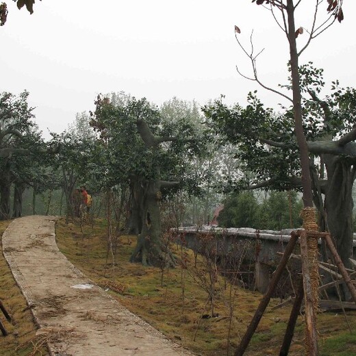 安装水泥榕树造景供应商,水泥假山石