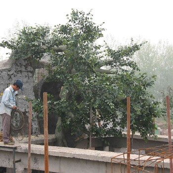 设计水泥榕树造景多少钱一个,水泥榕树造景施工方式