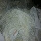 中山圖