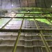 温州玻璃钢脱硫塔砖厂专用选择晟霄经久耐用信誉保障