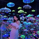 安徽網(wǎng)紅星空館打卡出租定制