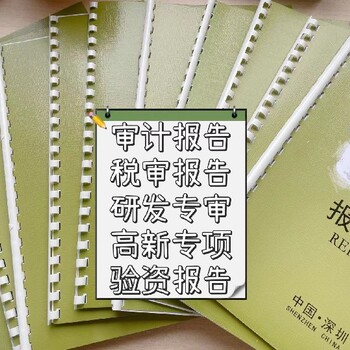 广州海珠公司审计报告所需材料