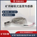 外貼式溫度傳感器測(cè)溫儀溫度傳感器探頭
