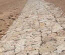 贵州六盘水水城县河道治理雷诺护垫厂家图片