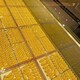 大小黃魚回收圖