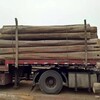 济南出售老榆木大梁批发厂家,老榆木自由板