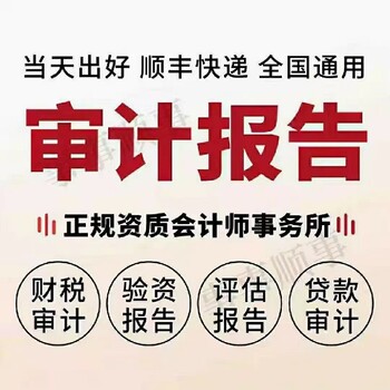 广州海珠公司审计报告所需材料