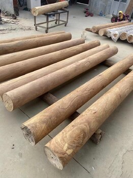 甘肃大量销售老榆木,烘干板材原木板材