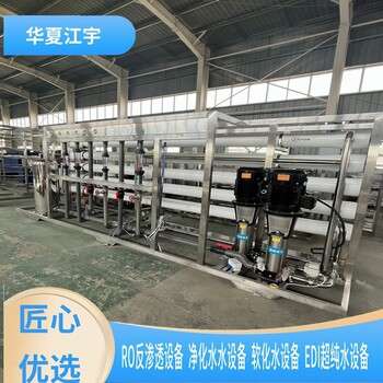 濮阳市EDI超纯水混床双级反渗透设备厂家