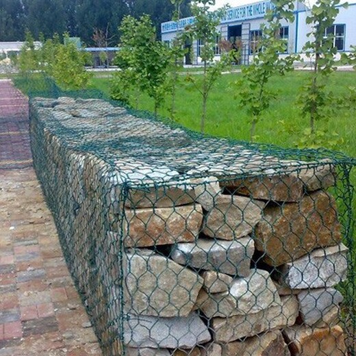江西贛州瑞金市雷諾護墊廠家