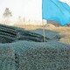 遼寧大石橋市雷諾護(hù)墊圖