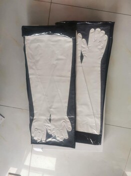 隔離器干箱手套12Y1532海普隆材質(zhì)手套美國進(jìn)口干箱手套CSM材質(zhì)