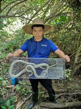 大朗镇从事防蛇驱蛇收费标准