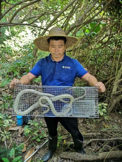 惠州承接灭臭虫灭蚊蝇,除四害公司