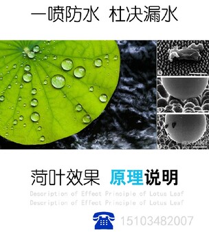 滲透型結(jié)晶防水施工混凝土透明防水劑防水防水乳膠漆