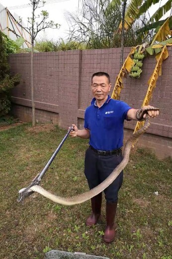 广州可靠防蛇公司价格实惠