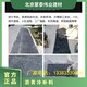 市政道路坑槽填补图