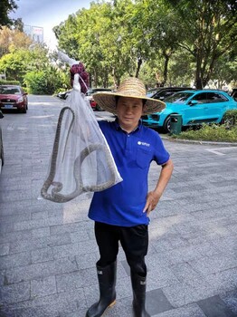 惠州灭臭虫灭蚂蚁,除臭虫公司