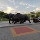 北京制作铸铜动物雕塑西藏牦牛产品图