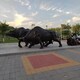 內蒙古制作鑄銅動物雕塑價格產品圖