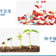 上饒培養(yǎng)箱圖