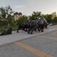 鑄銅動物雕塑圖