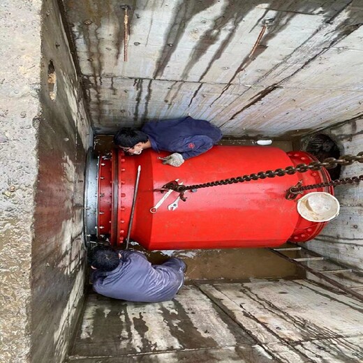 景德镇供应柔性气动截流装置-雨污分流井-气囊阀生产厂家