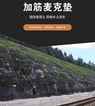 安康河道治理加筋麦克垫安装指导图片1