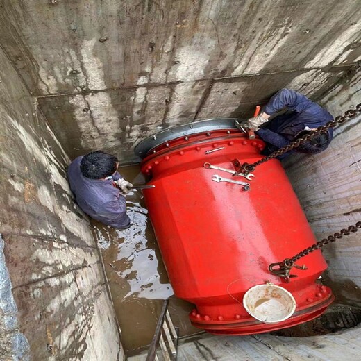 银川供应柔性气动截流装置-雨污分流井-气囊阀生产厂家