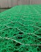 温州三维水土保护毯加筋麦克垫