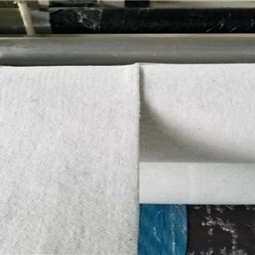 高强编织土工布-浙江金华PET聚酯土工布规格有几种