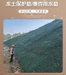 内江环保生态网格加筋麦克垫图片2