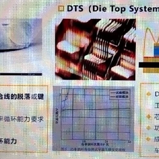 湖南DTSDieTopSystem焊片