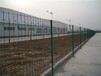 信阳果园围栏网生产厂家