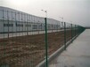 市政圍欄網最新行情價格