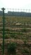 生产果园围栏网图