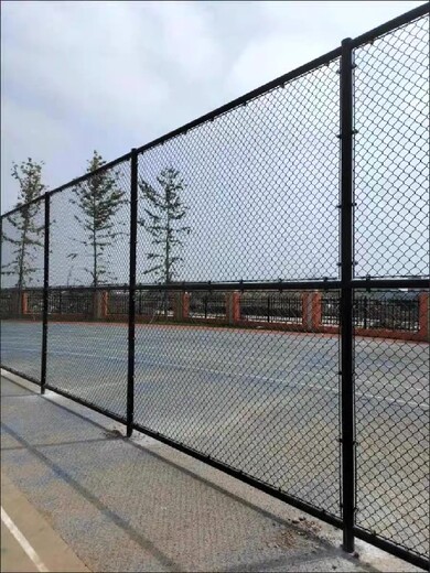 滨海新区篮球场围栏网货源