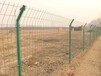 宿州生产果园围栏网