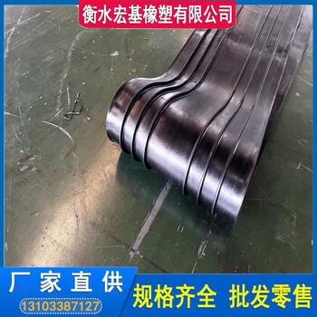 背貼式橡膠止水帶A變形縫施工縫背貼式橡膠止水帶生產(chǎn)廠家