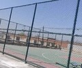 乌海学校篮球场围栏网价格
