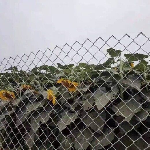 沈陽勾花網護欄