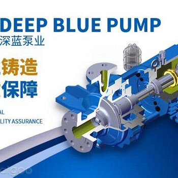 大連深藍(lán)ans系列離心化工泵備件