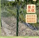 巴中勾花網最新報價多少錢
