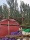 水泥壽桃雕塑聯(lián)系方式圖