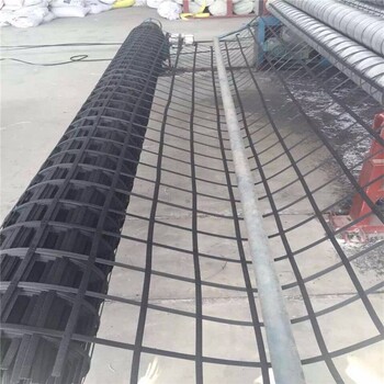 乌海PP塑料焊接土工格栅图片,钢塑复合土工格栅生产基地