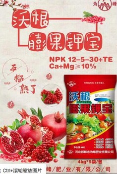 沃根鉀寶為峰肥業(yè)公司膨果鉀寶水溶肥