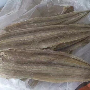 好品質烤魚片批發價