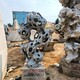 園林太湖石圖